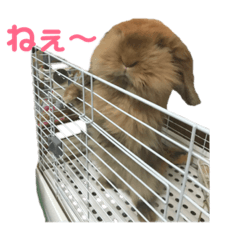 [LINEスタンプ] モカちん2