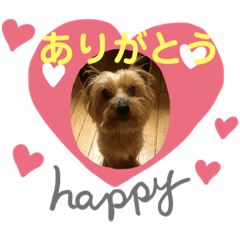 [LINEスタンプ] ♡しゅん♡