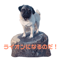 [LINEスタンプ] パグのサブです