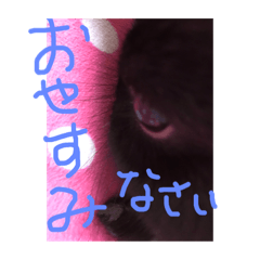 [LINEスタンプ] 黒うさぎお仕事スタンプ