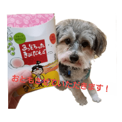 [LINEスタンプ] チャイクレ つむぎ 