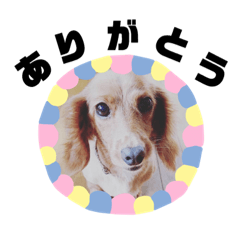 [LINEスタンプ] モモちゃん★スタンプ 