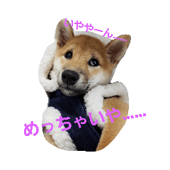 [LINEスタンプ] きまぐれん