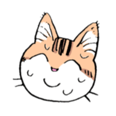 [LINEスタンプ] 表情で訴える猫 