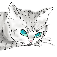 [LINEスタンプ] うちの猫と時々野良