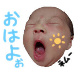 [LINEスタンプ] るりるりまる 