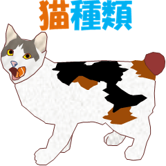 [LINEスタンプ] 猫種類