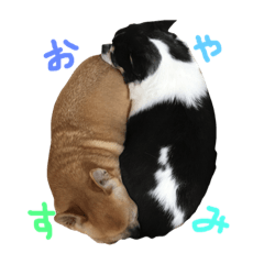 [LINEスタンプ] ぶさかわ犬まるひな