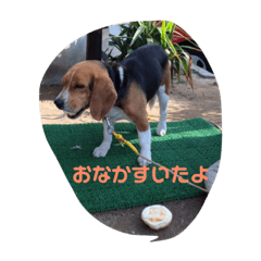 [LINEスタンプ] ジャックくんスタンプ 