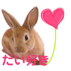 [LINEスタンプ] 癒しのミニレッキス 