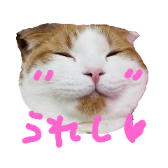 [LINEスタンプ] かんたろうのリアクションスタンプ
