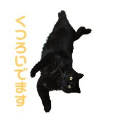 [LINEスタンプ] 黒猫のルカちゃん 