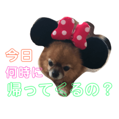 [LINEスタンプ] りんちゃんの日常会話 