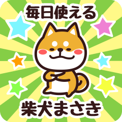 [LINEスタンプ] 毎日使える！柴犬まさき