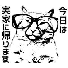 [LINEスタンプ] 大人しい我が家の猫