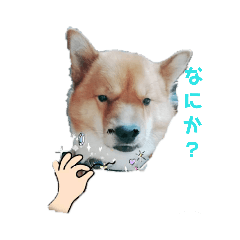[LINEスタンプ] ぽちもね 