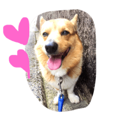 [LINEスタンプ] ちょびくんちょびくん 
