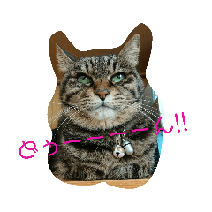 [LINEスタンプ] みみっち