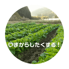 [LINEスタンプ] ぺんぺんのスタンプ2