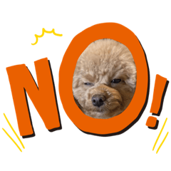 [LINEスタンプ] may様スタンプ fetchpriority=high
