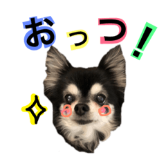 [LINEスタンプ] 保利家の仲間たち