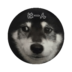 [LINEスタンプ] ブラックビーンちゃん