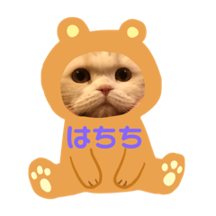 [LINEスタンプ] スコのはちち3 