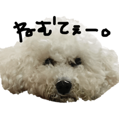 [LINEスタンプ] 犬＆娘の家族 