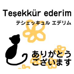 [LINEスタンプ] 黒猫のトルコ語＆日本語