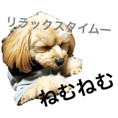 [LINEスタンプ] ポメプー みゅうシリーズ 