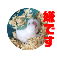 [LINEスタンプ] 動物色々 