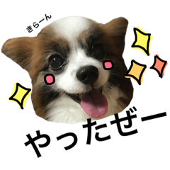[LINEスタンプ] わんぱくさすけ