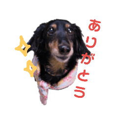 [LINEスタンプ] くきすたんぷ