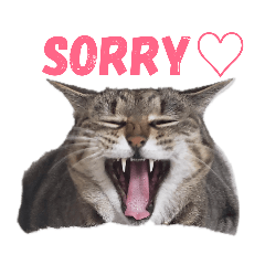 [LINEスタンプ] うちの猫 G.T.C 