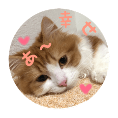 [LINEスタンプ] うちのちゃい君2