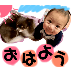 [LINEスタンプ] ちょこきと 