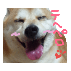 [LINEスタンプ] 我が家の華 