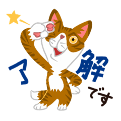 [LINEスタンプ] ヴァリ猫マルソ あいさつ基本編