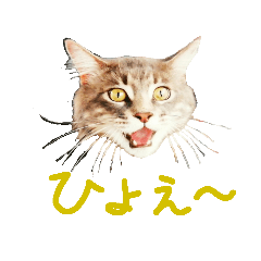 [LINEスタンプ] 労りの言葉