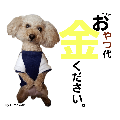 [LINEスタンプ] きみの家族たち 