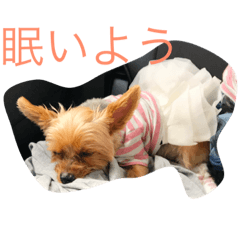 [LINEスタンプ] モモタロースタンプ 