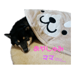 [LINEスタンプ] 僕、こた 。 