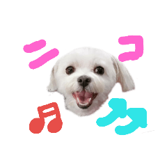 [LINEスタンプ] ご機嫌こはるん 