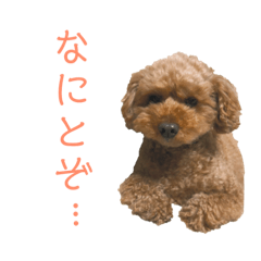 [LINEスタンプ] レオナルドⅢ