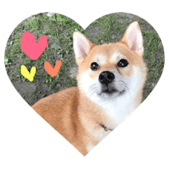 [LINEスタンプ] さくら2019.1.16