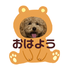 [LINEスタンプ] ローちゃん3