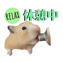 [LINEスタンプ] 谷口きなこ2nd.