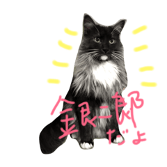 [LINEスタンプ] ぼく銀二郎