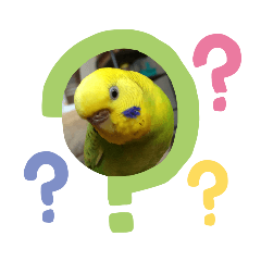 [LINEスタンプ] ピーちゃんひなちゃん