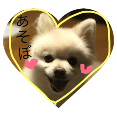 [LINEスタンプ] ポメちゃんスタンプ